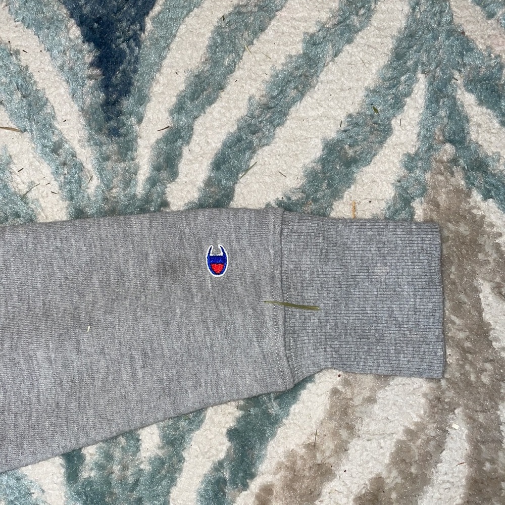 Gray champion hoodie - Picture 4 of 7